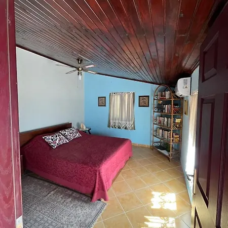 Apartment Metehan *